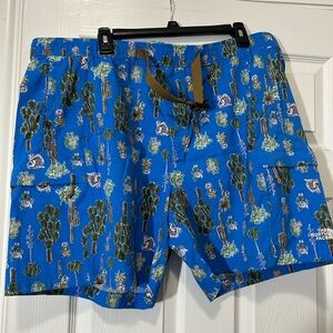 The North Face Men's Cactus Print Blue Board Shorts